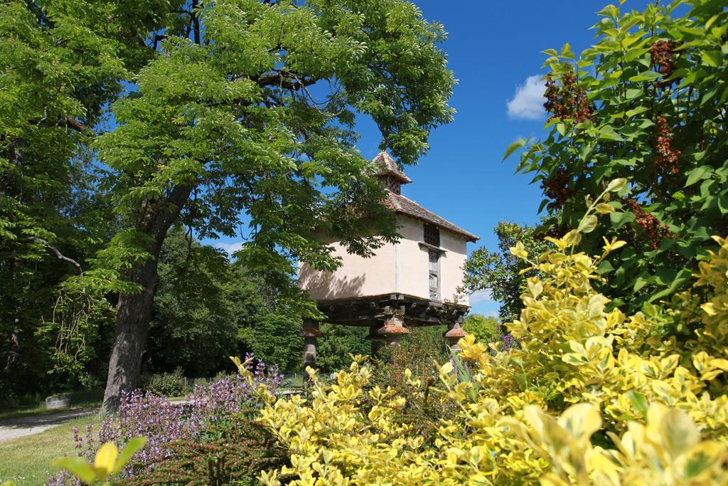Chateau De Mayragues Castelnau-de-Montmiral Exteriör bild